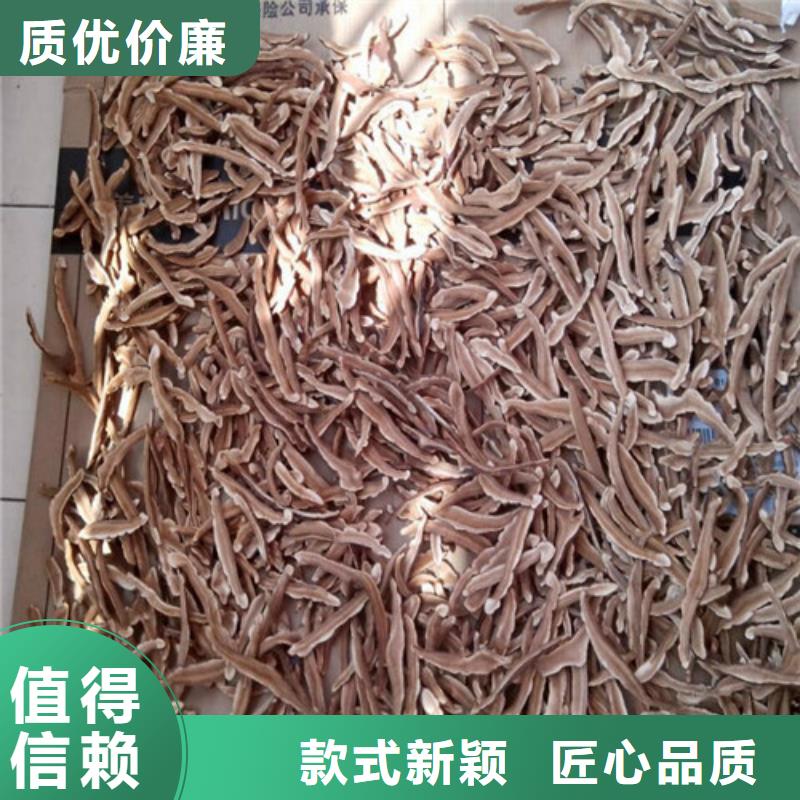 林口县灵芝怎么卖品质放心