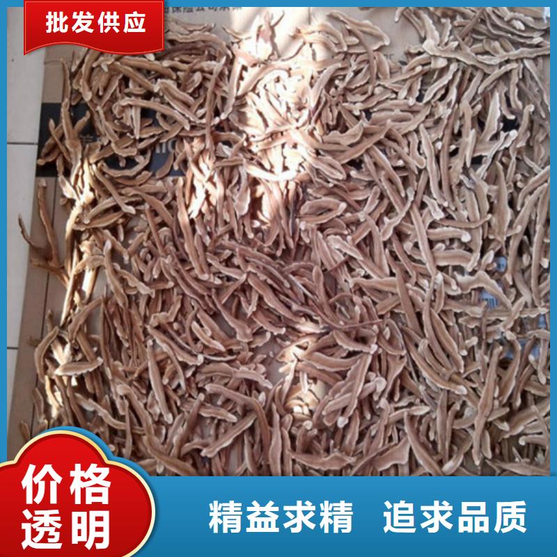 靈芝孢子粉招商加盟