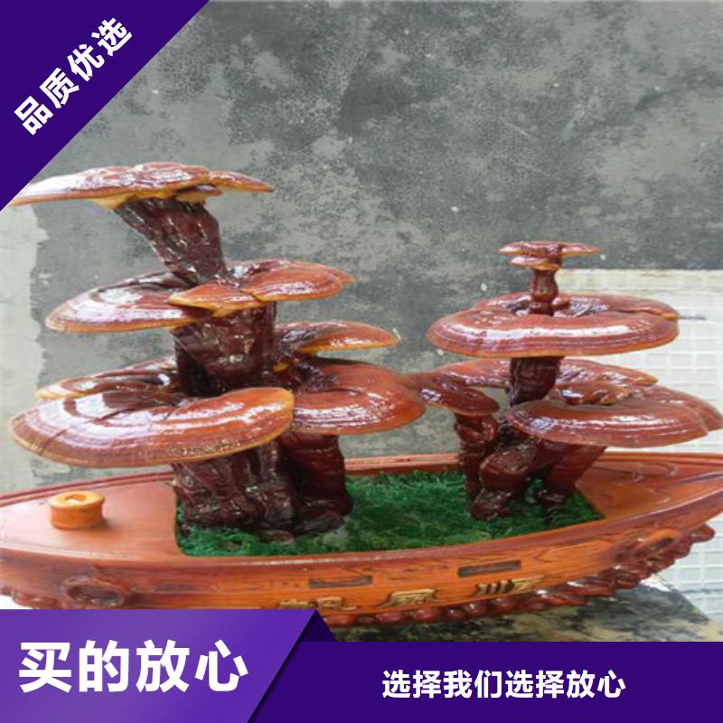 泰寧縣靈芝孢子粉