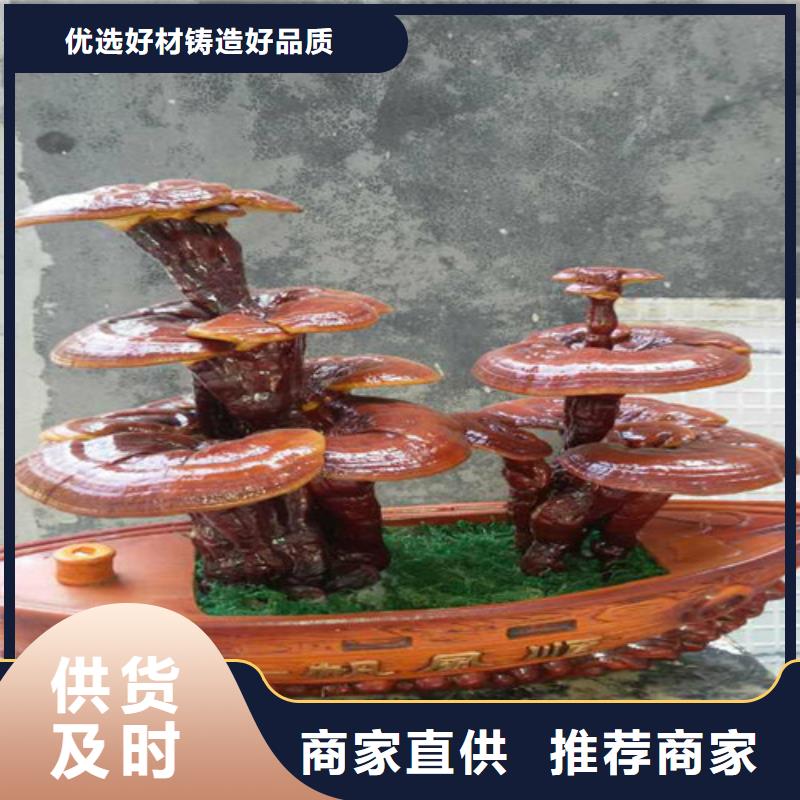 什么人適合吃靈芝孢子粉