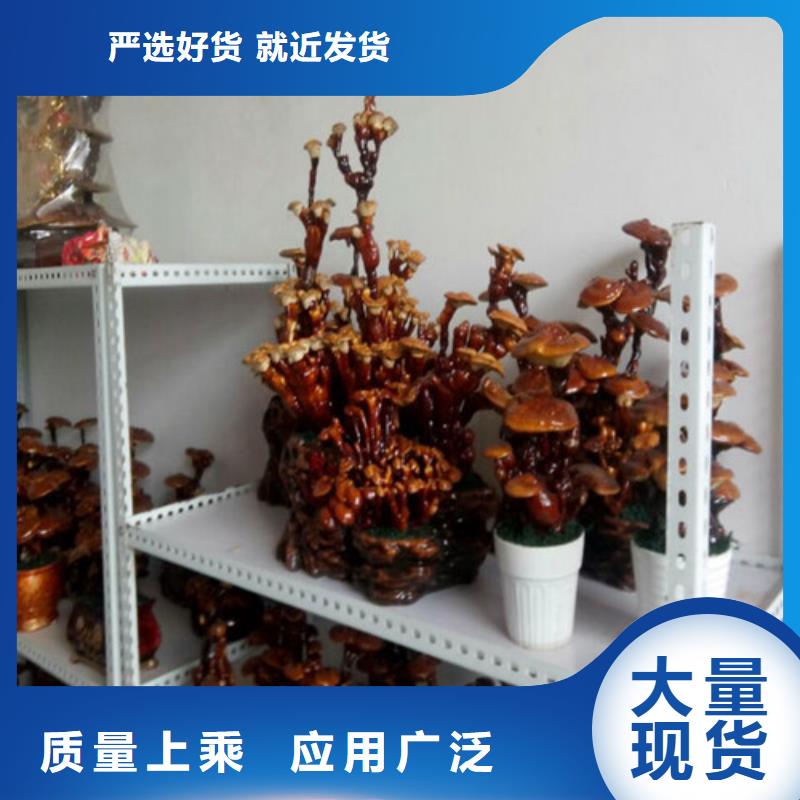 破壁靈芝孢子粉價(jià)格低