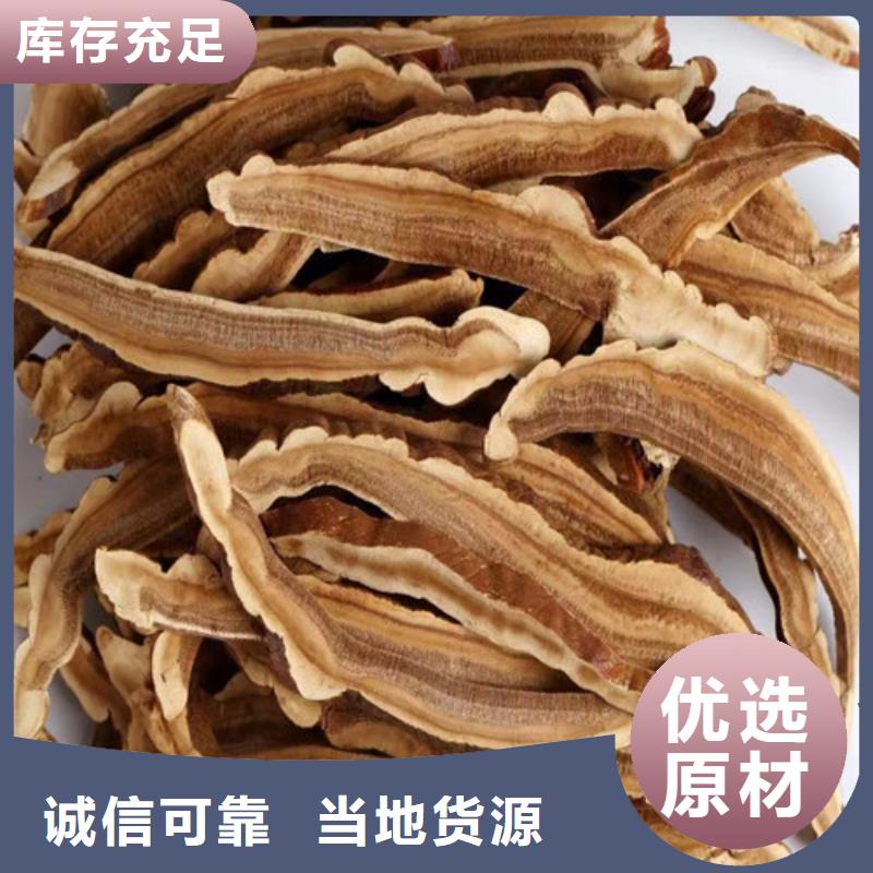 靈芝有什么作用品質(zhì)放心