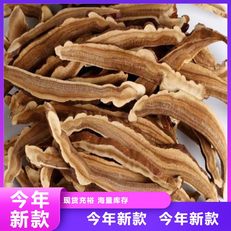 依安县灵芝的服用方法报价