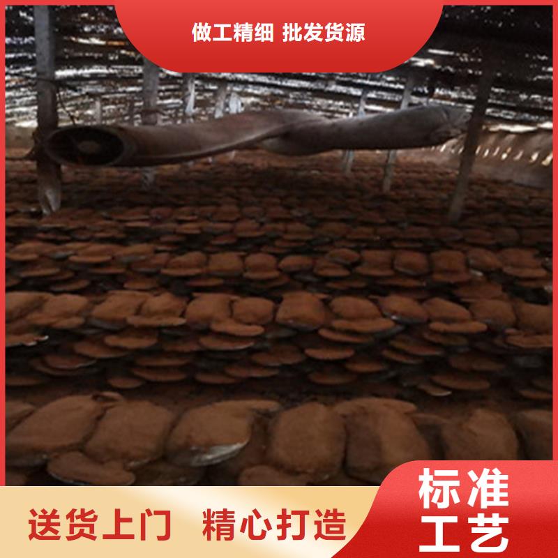 靈芝孢子粉的食用方法