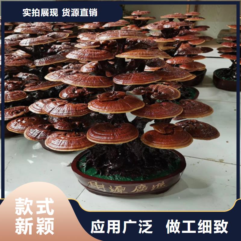 灵芝孢子粉代理门槛低