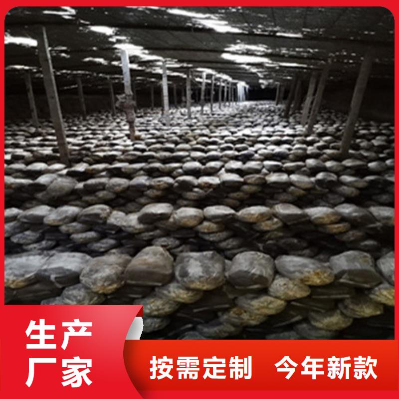 靈芝孢子粉招商加盟