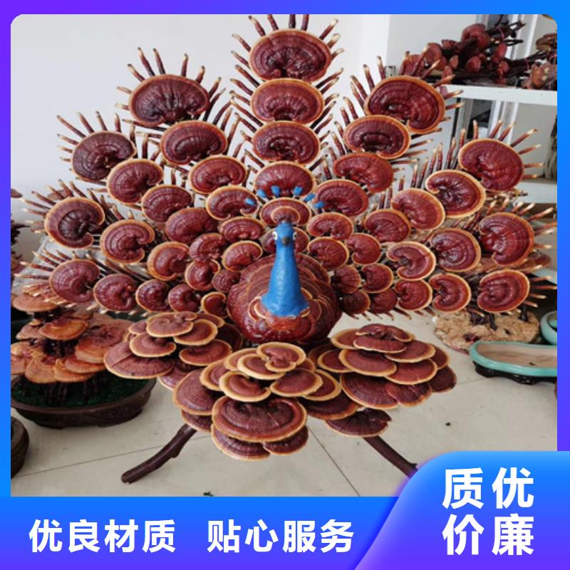 明溪縣靈芝孢子粉多少錢一斤