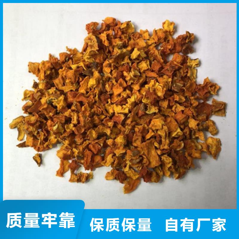 南瓜丁今日行情