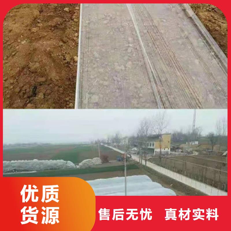 性價(jià)比高的紫薯苗基地