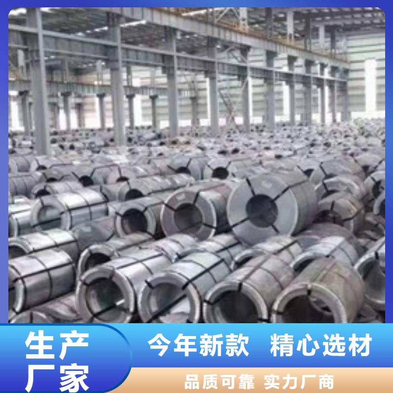 熱鍍鋅電鍍鋅鍍鋁鋅卷板廠家服務(wù)至上
