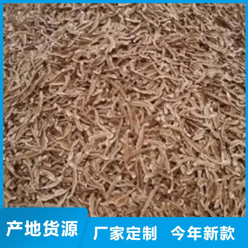 靈芝孢子粉實(shí)力批發(fā)廠家