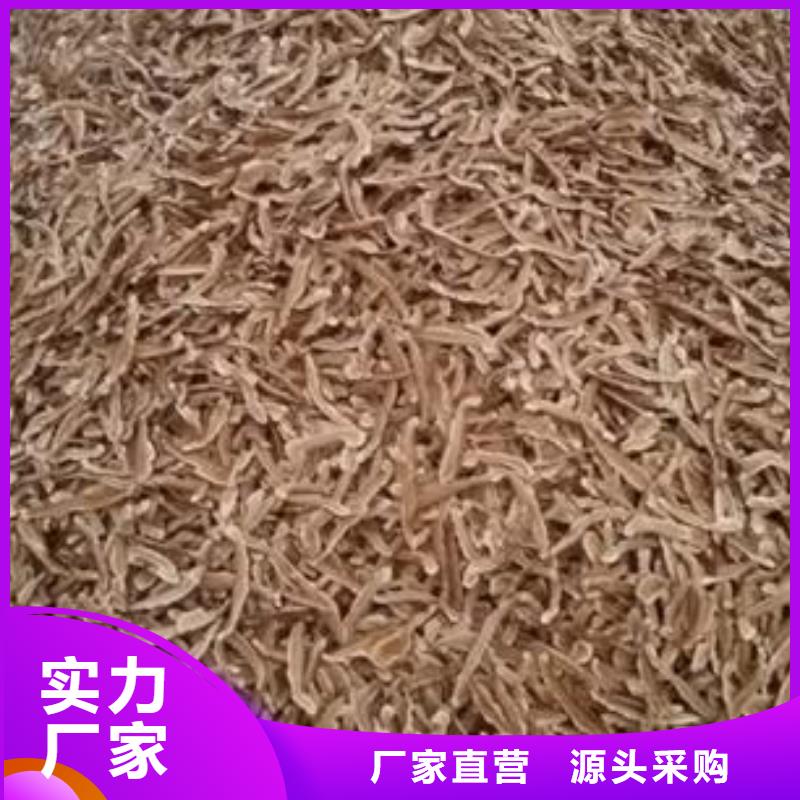 靈芝孢子粉廠家_咨詢優(yōu)惠