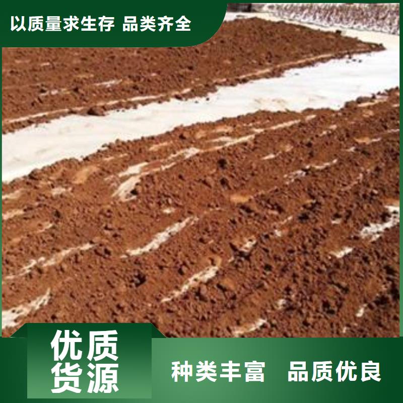 靈芝孢子粉廠家地址