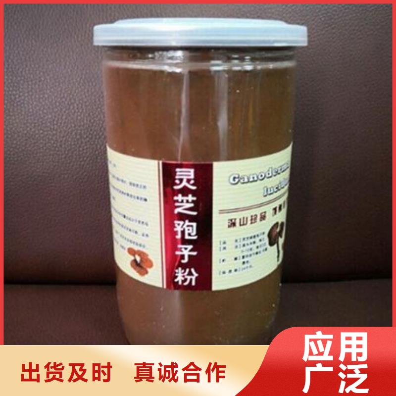 價格低的靈芝孢子粉廠家
