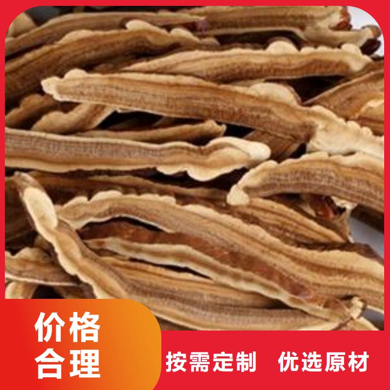 專業(yè)銷售靈芝孢子粉-省錢多年實力廠家