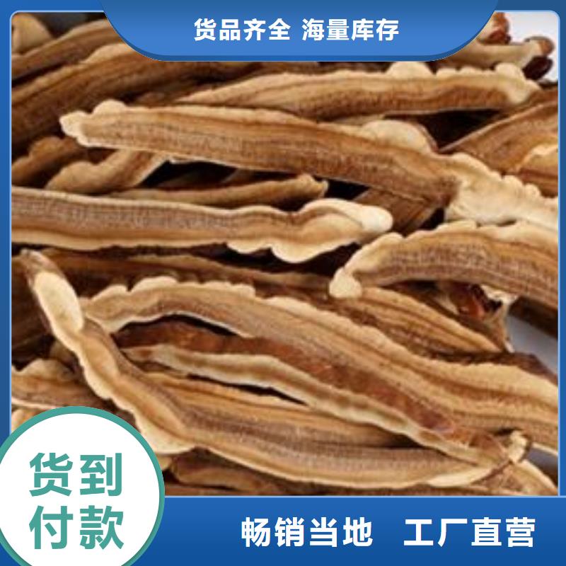 靈芝孢子粉價(jià)格公道