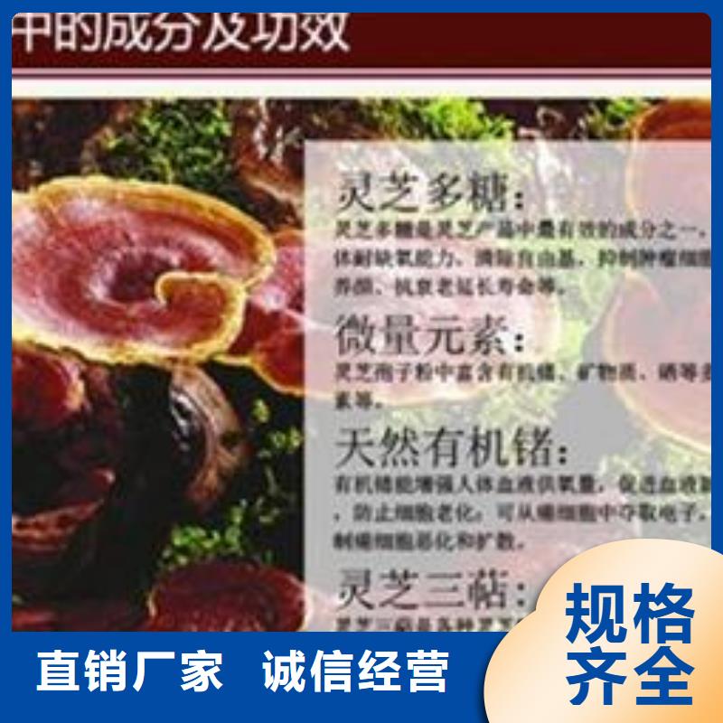靈芝孢子粉-聯(lián)系方式