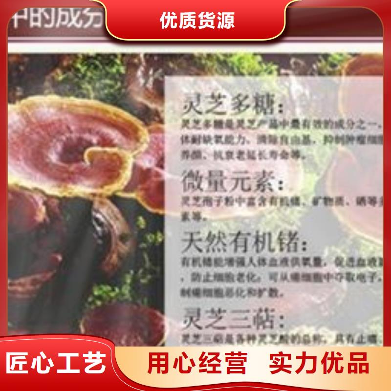 靈芝孢子粉-歡迎選購(gòu)