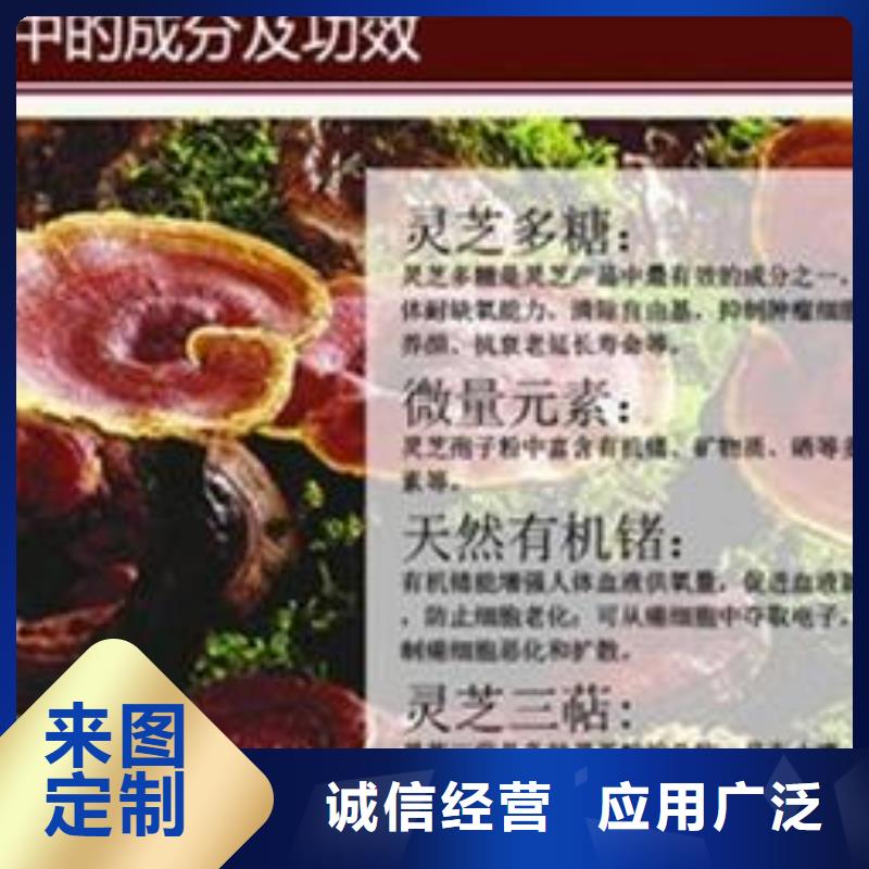 靈芝孢子粉廠家當天發(fā)貨