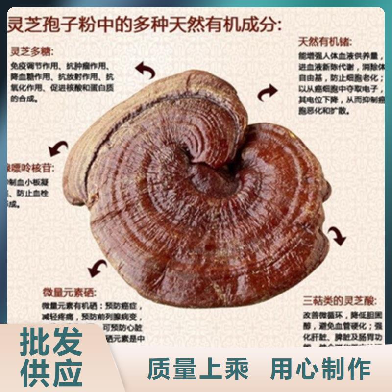 ?靈芝孢子粉直供全國品牌:本地廠家擁有核心技術優(yōu)勢