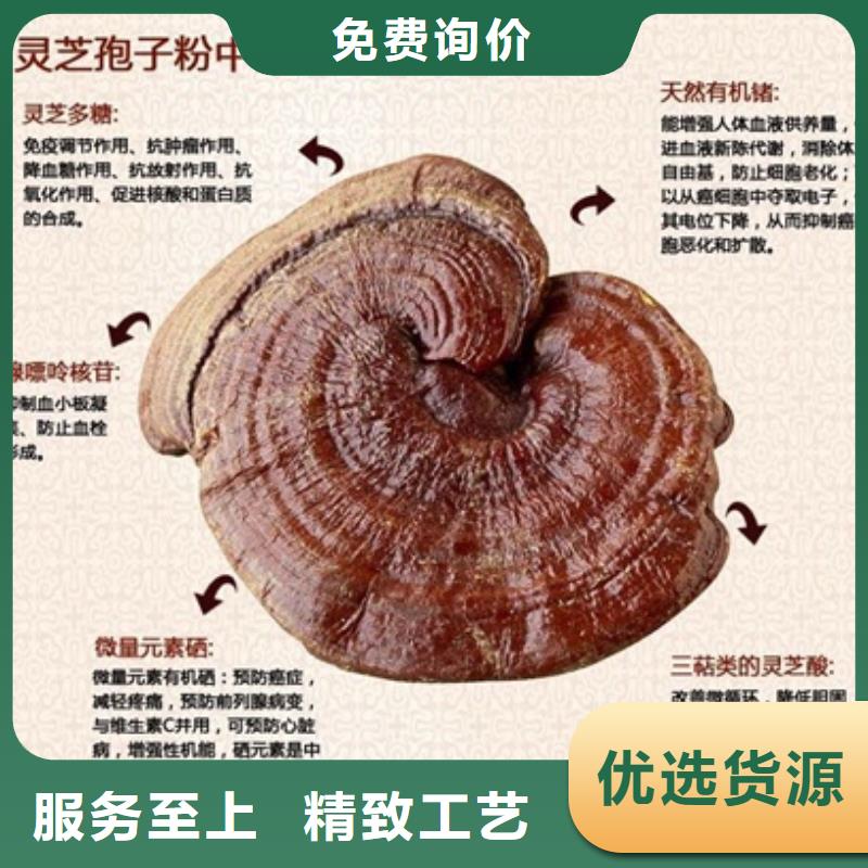 靈芝孢子粉歡迎下單工廠采購