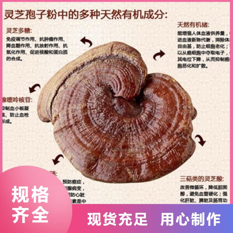 優(yōu)質(zhì)的靈芝孢子粉生產(chǎn)廠家