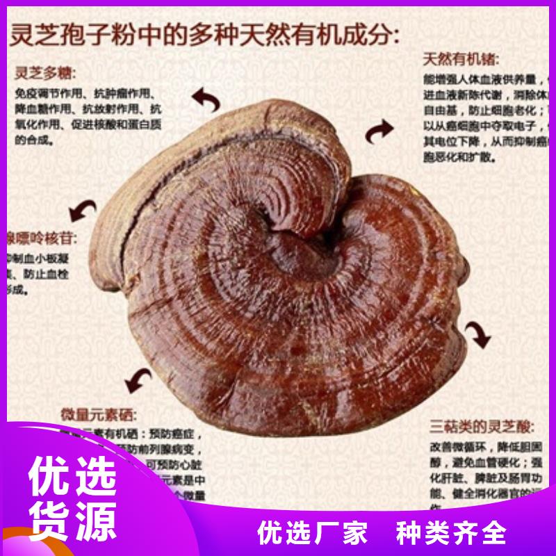 靈芝孢子粉直供全國(guó)品牌:本地廠家