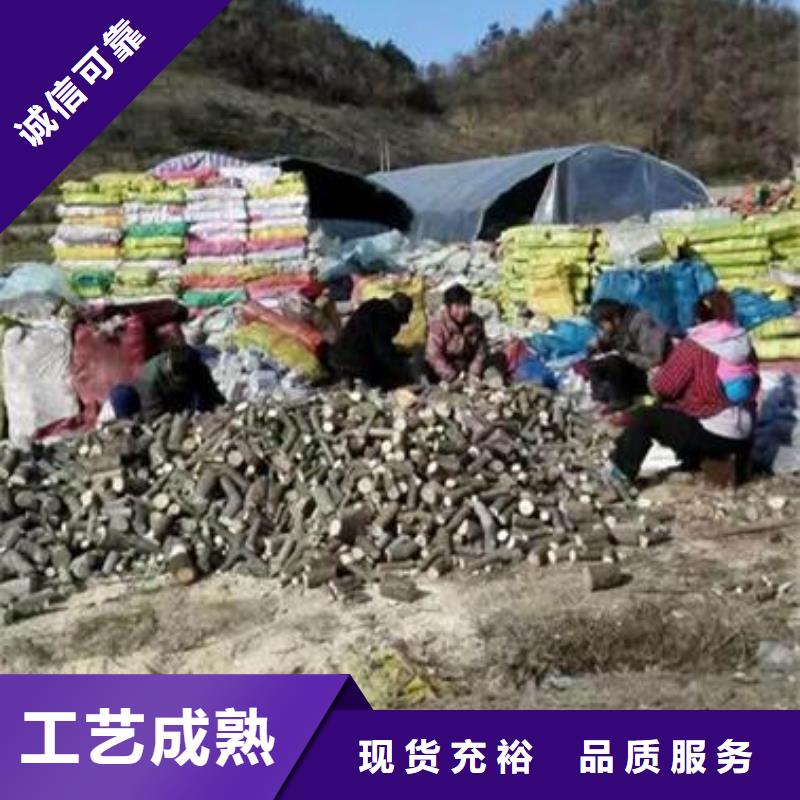 靈芝孢子粉實(shí)力批發(fā)廠家