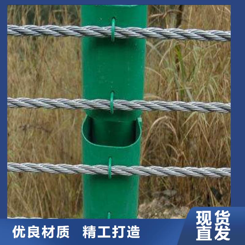 燈光護欄、燈光護欄生產(chǎn)廠家-找渤萊特金屬材料有限公司