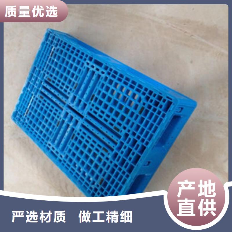 塑料托盘实地厂家