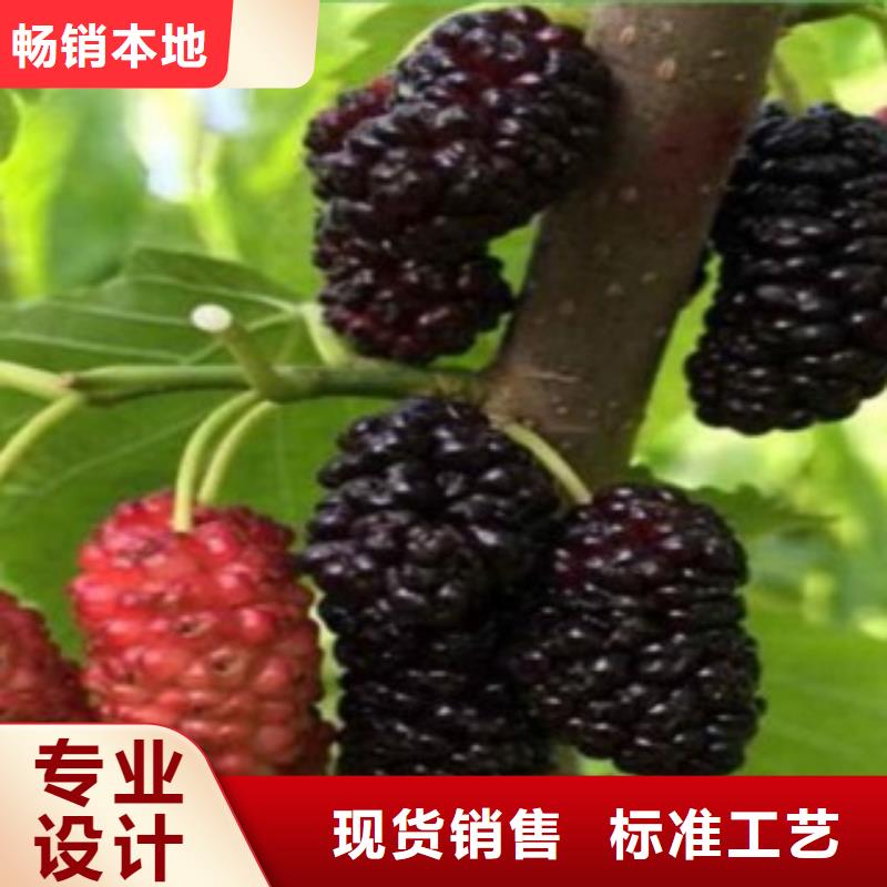 果桑品质与价格同行