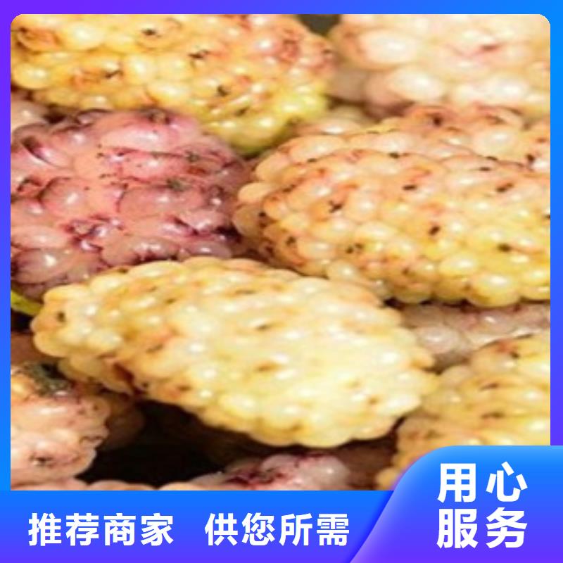 果桑供货商同城经销商