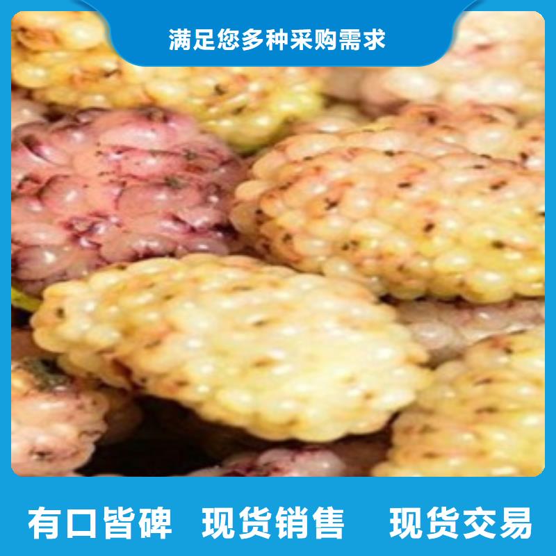常年供应果桑-口碑好