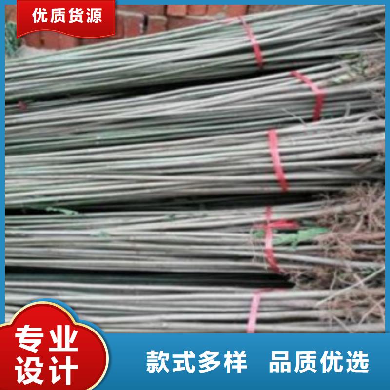 供应香椿_诚信企业好产品放心购