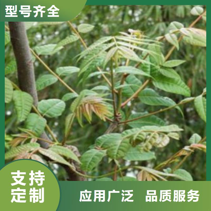 香椿实业厂家