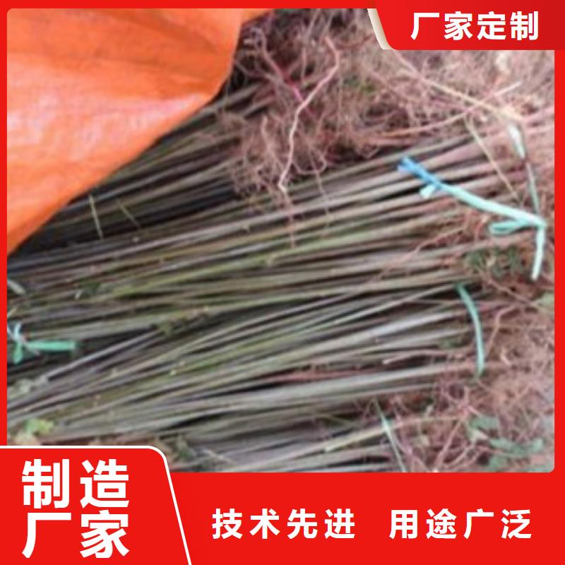 香椿物流快捷