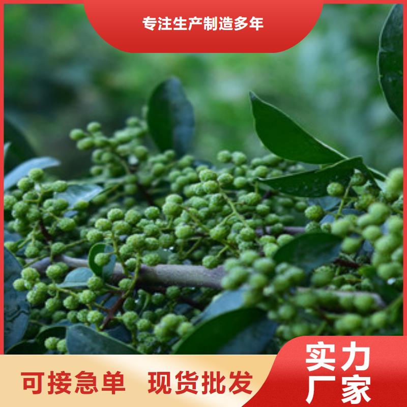 花椒苗多少钱生产加工