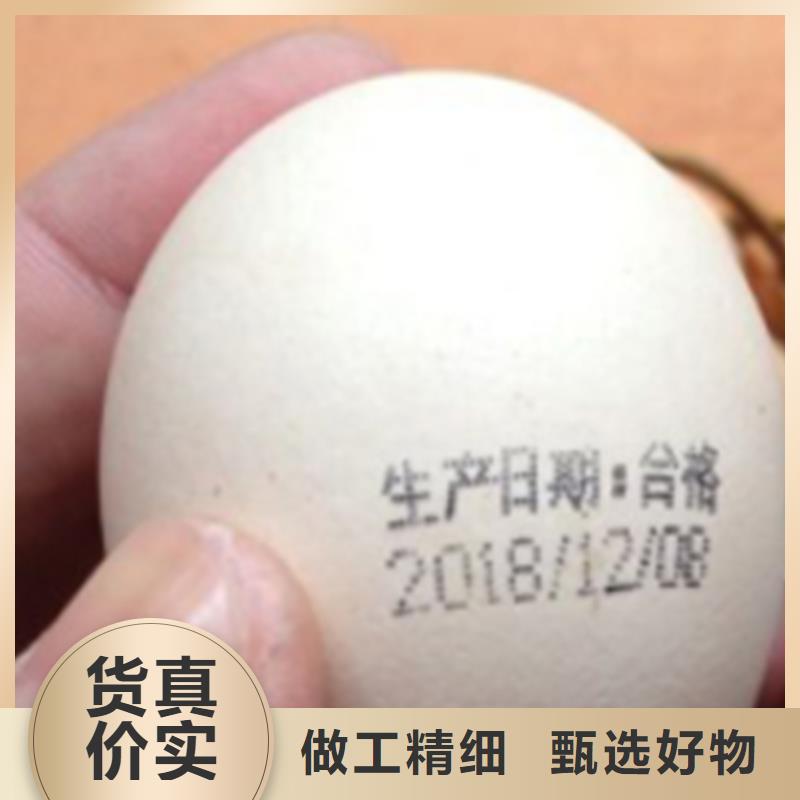 供应喷码机喷码机批发