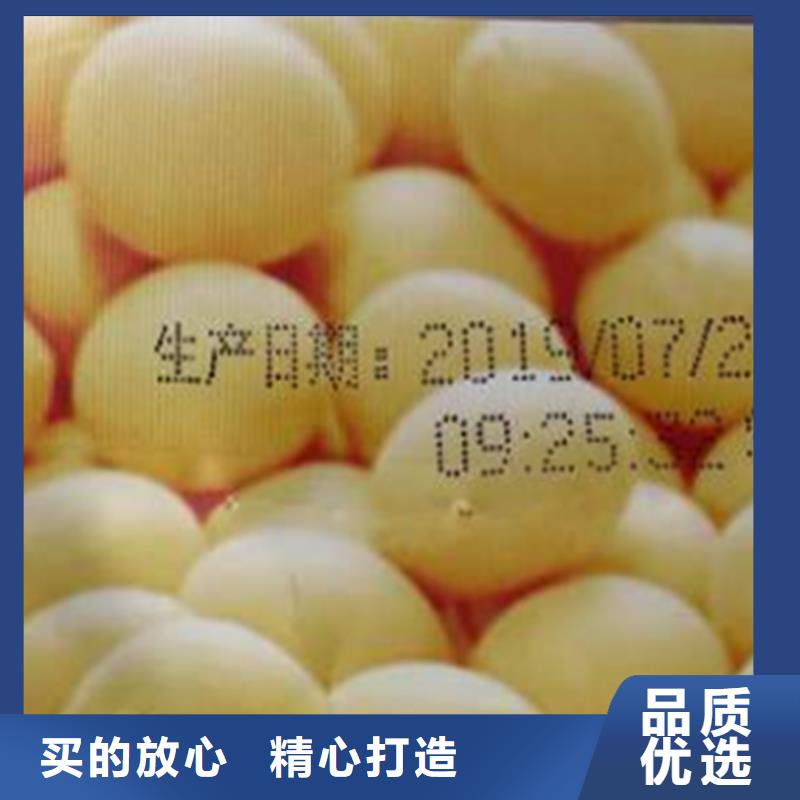 喷码机原厂生产安装