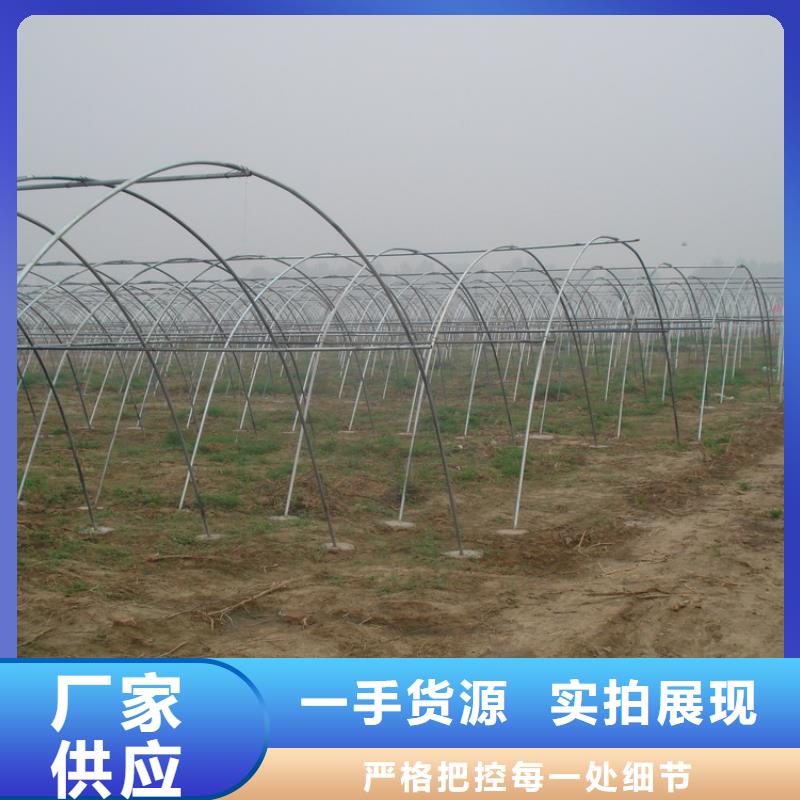 购买镀锌管满意后付款