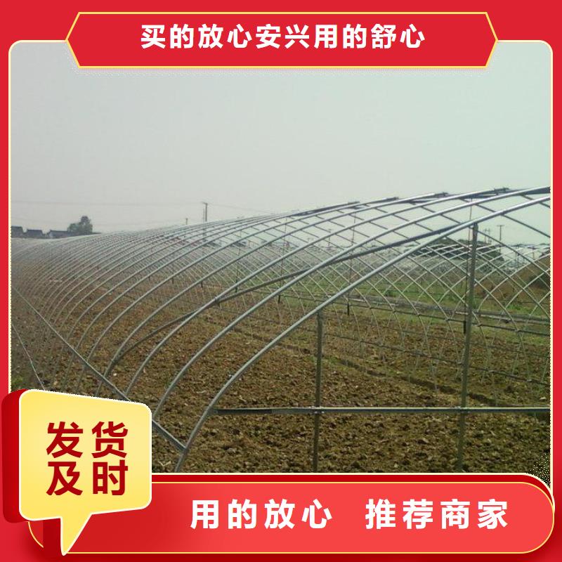 本地性价比高的镀锌管厂家
