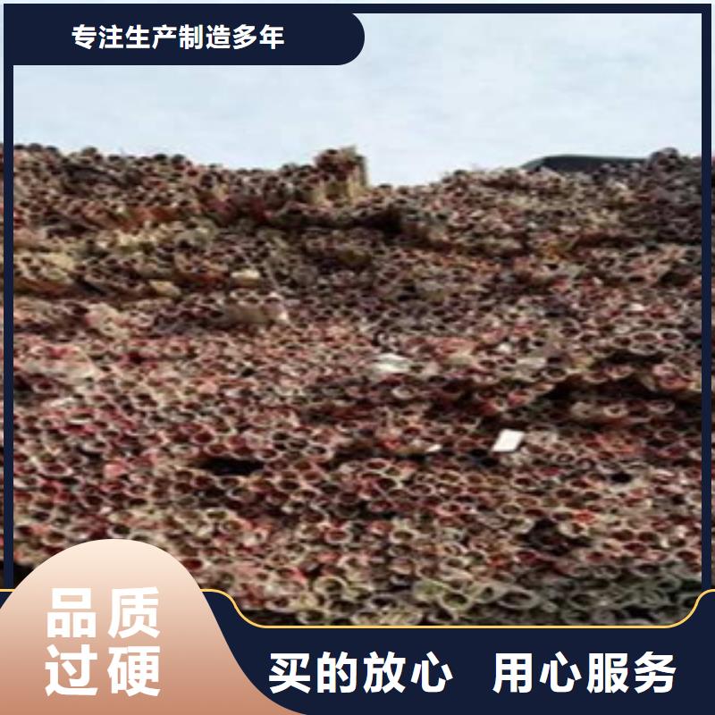 常年供应不锈钢护栏-价格优惠本地生产厂家