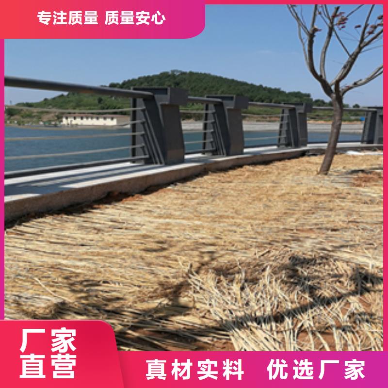 可定制的不锈钢碳素钢复合管护栏供货商