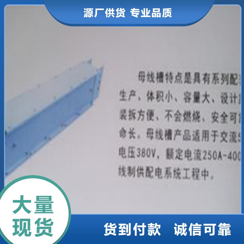 母线槽订购找大品牌