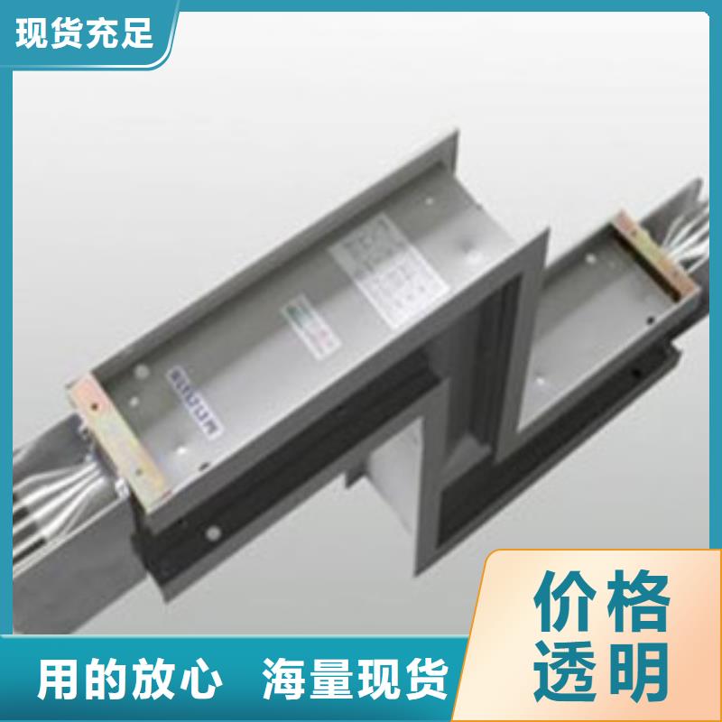 母线槽品种齐全的厂家同城服务商