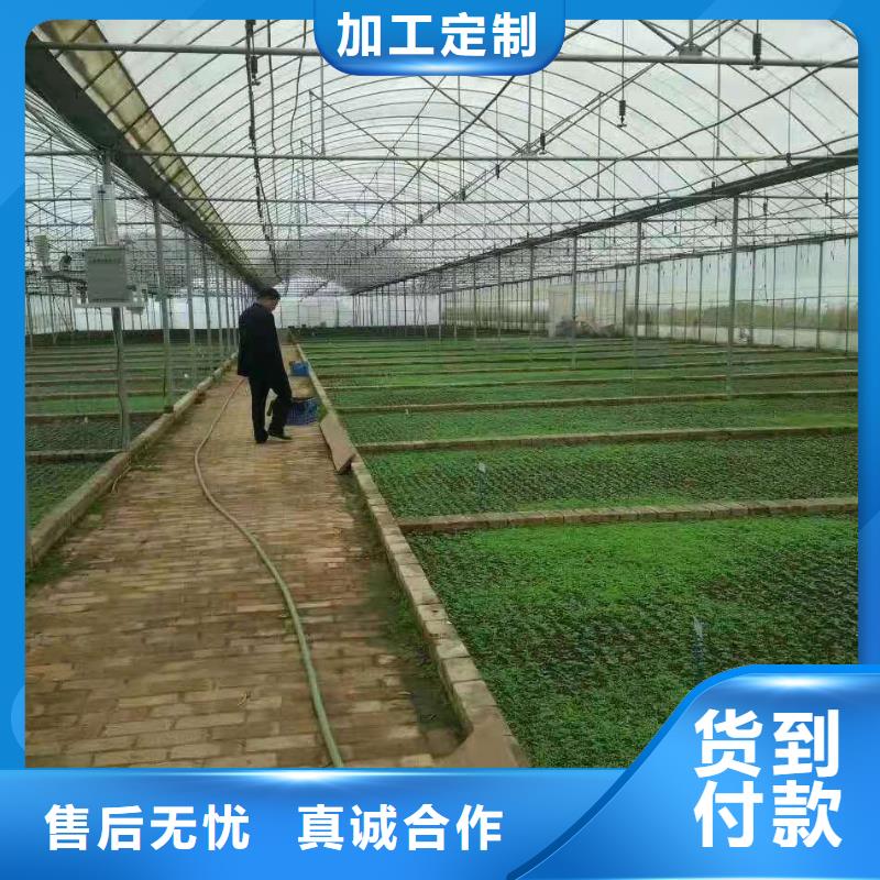 供应批发大棚管-放心