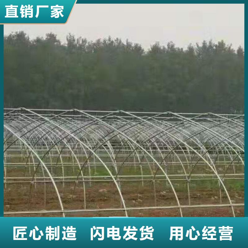 批发大棚管_优质厂家拥有核心技术优势