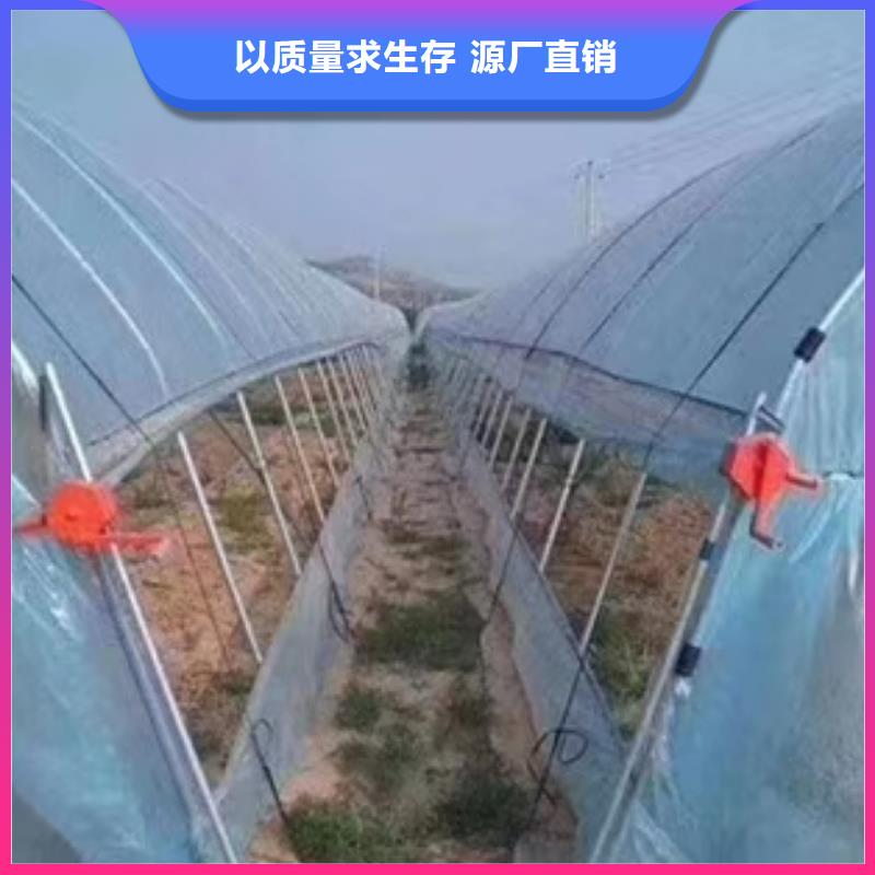 买大棚管必看-服务优