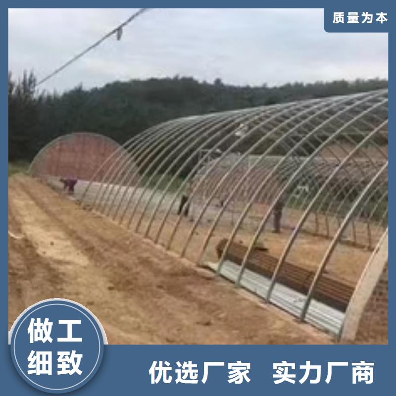 大棚管_本地企业放心选择本地制造商