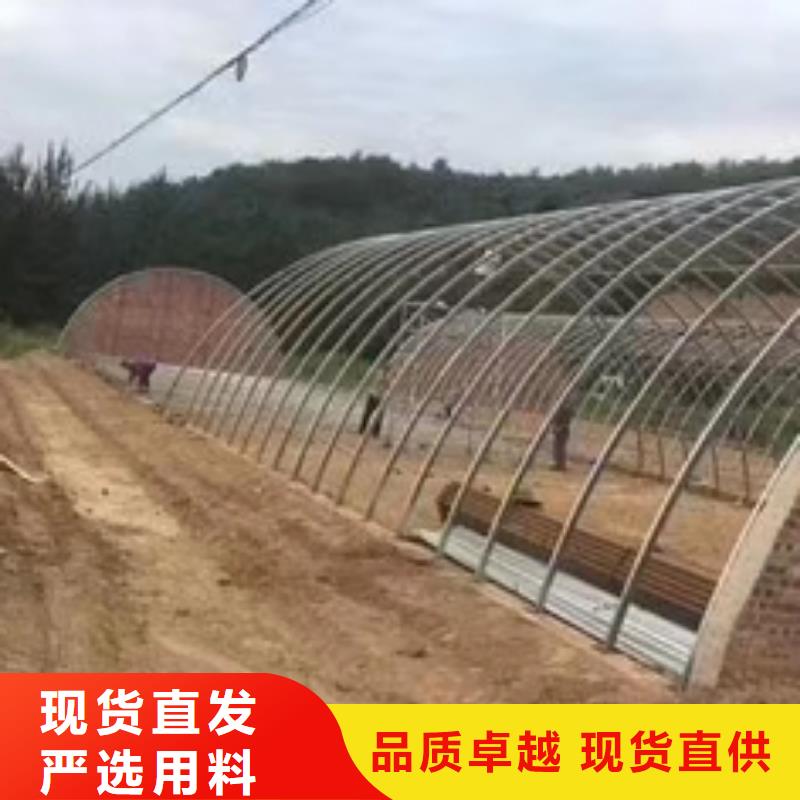 买大棚管必看-经验丰富多年行业经验